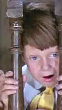 Mary Poppins' Michael Banks: Unraveling Matthew Garber's Tragic Death at 21